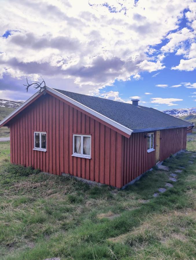 Tyinkrysset Kyrkjestolen B&B מראה חיצוני תמונה